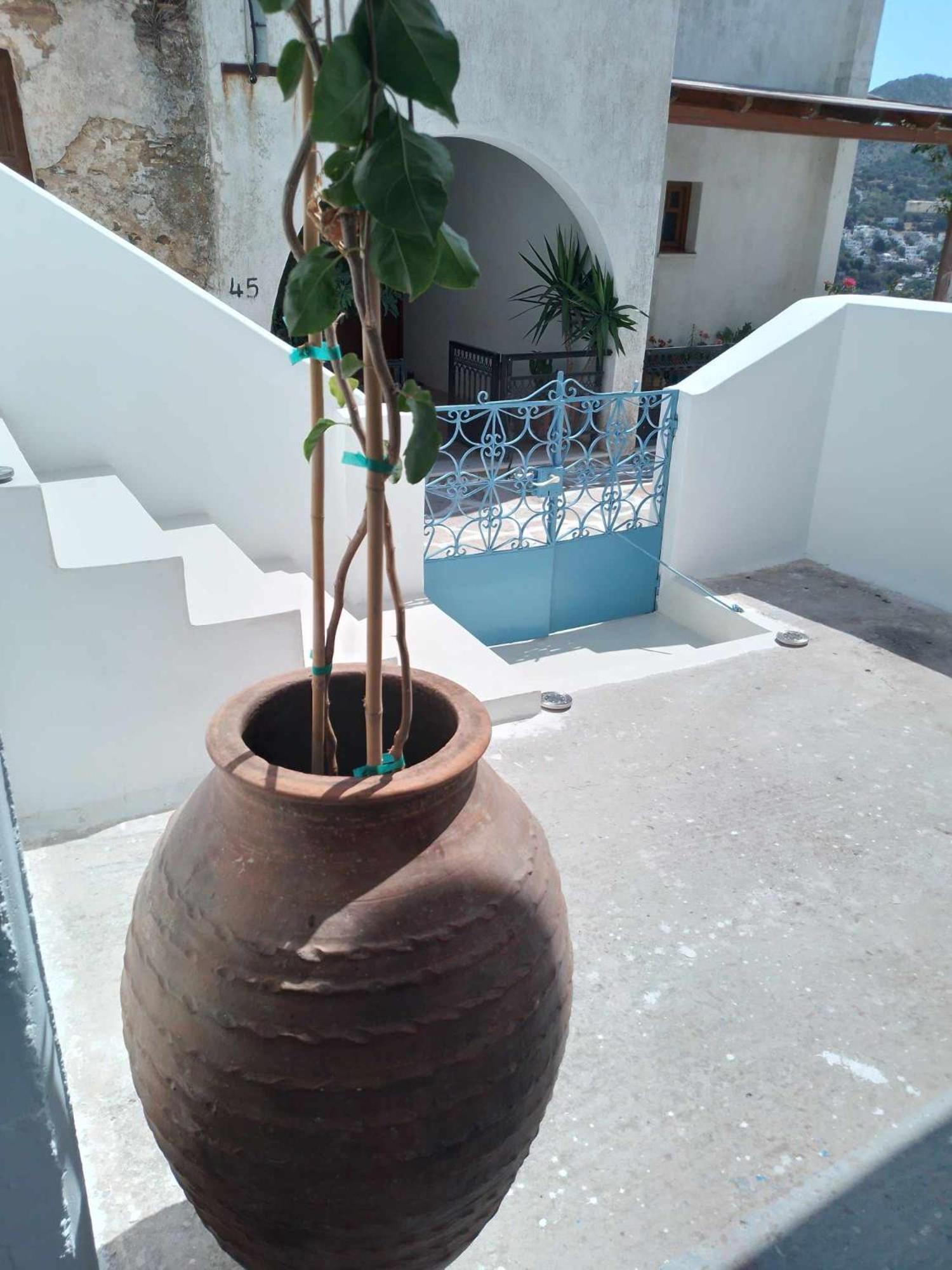 Villa Blue House à Koronos Extérieur photo